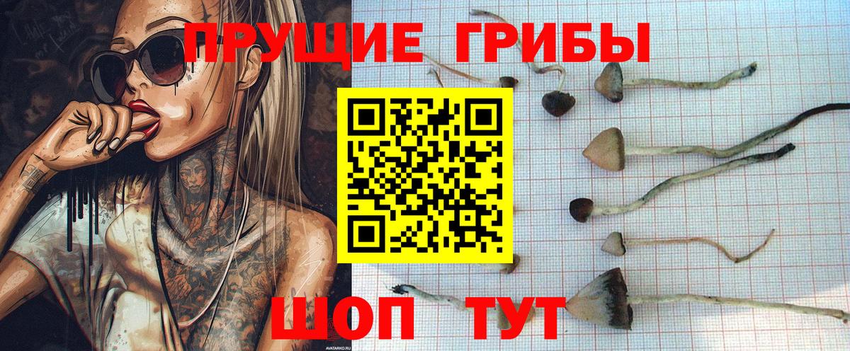 Псилоцибиновые грибы Magic Shrooms Пыть-Ях
